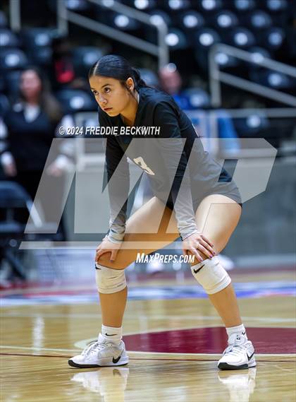 Thumbnail 2 in Wimberley vs. Randall (UIL 4A Volleyball Division II Final) photogallery.