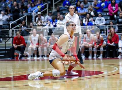Thumbnail 3 in Wimberley vs. Randall (UIL 4A Volleyball Division II Final) photogallery.