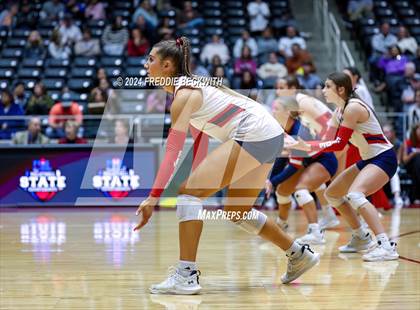 Thumbnail 2 in Wimberley vs. Randall (UIL 4A Volleyball Division II Final) photogallery.