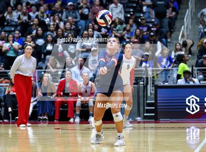 Thumbnail 2 in Wimberley vs. Randall (UIL 4A Volleyball Division II Final) photogallery.