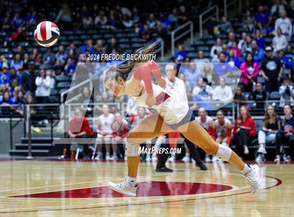 Thumbnail 2 in Wimberley vs. Randall (UIL 4A Volleyball Division II Final) photogallery.