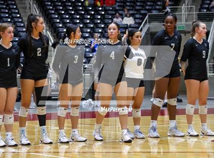 Thumbnail 3 in Wimberley vs. Randall (UIL 4A Volleyball Division II Final) photogallery.