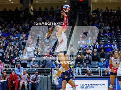 Thumbnail 1 in Wimberley vs. Randall (UIL 4A Volleyball Division II Final) photogallery.