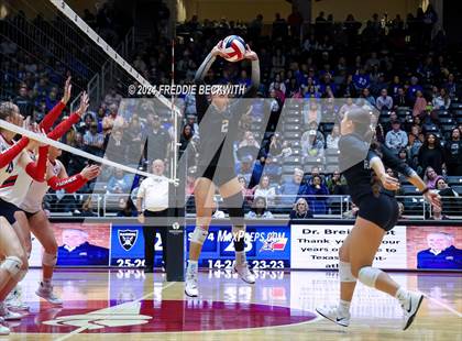 Thumbnail 1 in Wimberley vs. Randall (UIL 4A Volleyball Division II Final) photogallery.