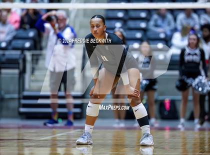 Thumbnail 2 in Wimberley vs. Randall (UIL 4A Volleyball Division II Final) photogallery.
