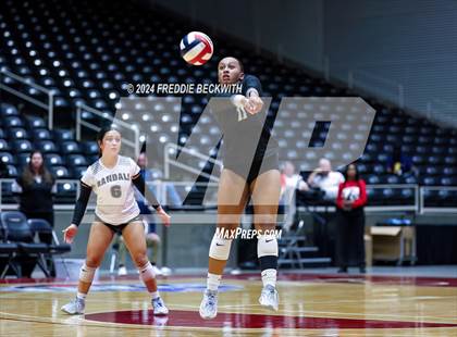 Thumbnail 3 in Wimberley vs. Randall (UIL 4A Volleyball Division II Final) photogallery.