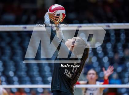 Thumbnail 1 in Wimberley vs. Randall (UIL 4A Volleyball Division II Final) photogallery.