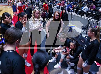 Thumbnail 1 in Wimberley vs. Randall (UIL 4A Volleyball Division II Final) photogallery.
