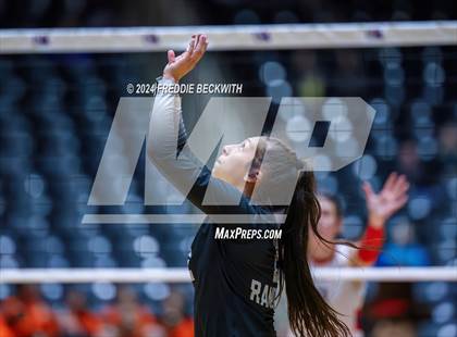 Thumbnail 3 in Wimberley vs. Randall (UIL 4A Volleyball Division II Final) photogallery.