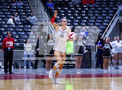 Thumbnail 3 in Wimberley vs. Randall (UIL 4A Volleyball Division II Final) photogallery.