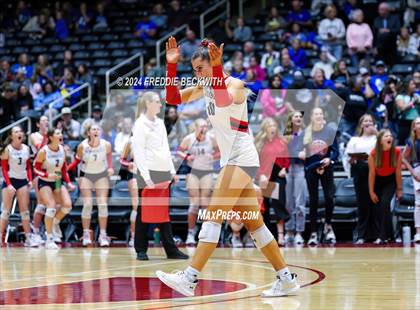 Thumbnail 1 in Wimberley vs. Randall (UIL 4A Volleyball Division II Final) photogallery.