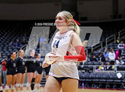 Thumbnail 1 in Wimberley vs. Randall (UIL 4A Volleyball Division II Final) photogallery.