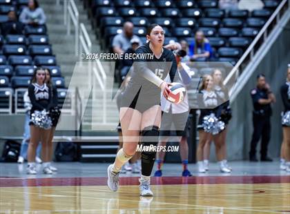 Thumbnail 2 in Wimberley vs. Randall (UIL 4A Volleyball Division II Final) photogallery.