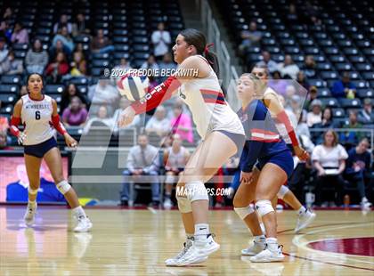 Thumbnail 3 in Wimberley vs. Randall (UIL 4A Volleyball Division II Final) photogallery.