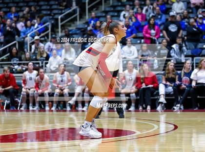 Thumbnail 2 in Wimberley vs. Randall (UIL 4A Volleyball Division II Final) photogallery.