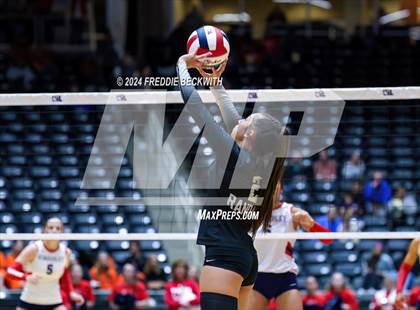 Thumbnail 1 in Wimberley vs. Randall (UIL 4A Volleyball Division II Final) photogallery.