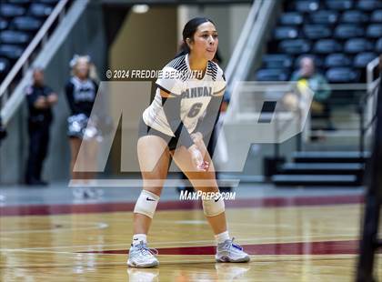 Thumbnail 2 in Wimberley vs. Randall (UIL 4A Volleyball Division II Final) photogallery.