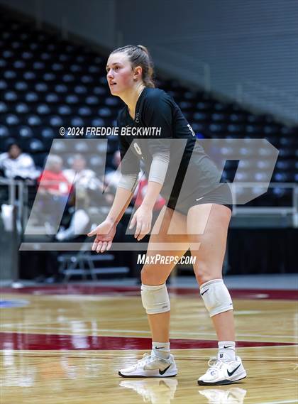 Thumbnail 2 in Wimberley vs. Randall (UIL 4A Volleyball Division II Final) photogallery.
