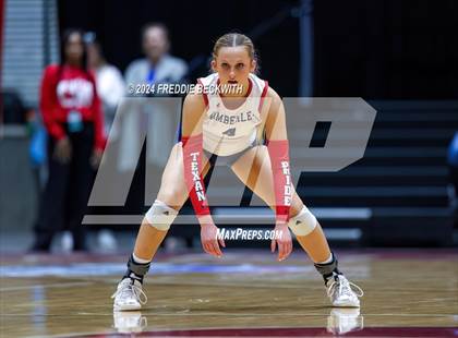 Thumbnail 1 in Wimberley vs. Randall (UIL 4A Volleyball Division II Final) photogallery.