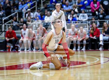 Thumbnail 1 in Wimberley vs. Randall (UIL 4A Volleyball Division II Final) photogallery.