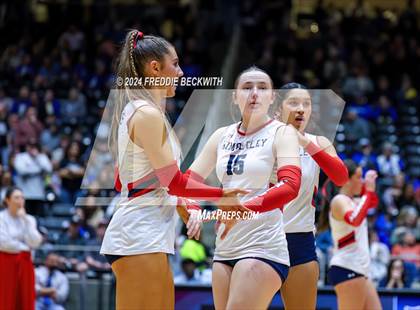 Thumbnail 1 in Wimberley vs. Randall (UIL 4A Volleyball Division II Final) photogallery.