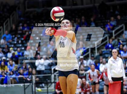Thumbnail 2 in Wimberley vs. Randall (UIL 4A Volleyball Division II Final) photogallery.