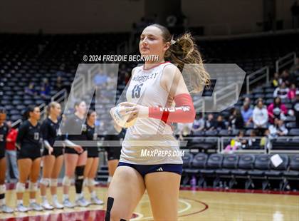 Thumbnail 2 in Wimberley vs. Randall (UIL 4A Volleyball Division II Final) photogallery.