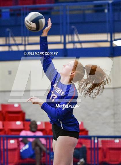 Thumbnail 3 in Harker Heights @ Midway photogallery.