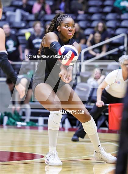 Thumbnail 2 in Cedar Park vs. Argyle (UIL 5A D2 Volleyball Final) photogallery.