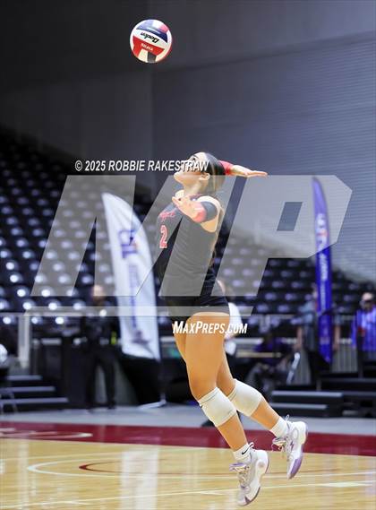 Thumbnail 1 in Cedar Park vs. Argyle (UIL 5A D2 Volleyball Final) photogallery.