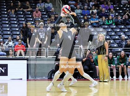 Thumbnail 1 in Cedar Park vs. Argyle (UIL 5A D2 Volleyball Final) photogallery.