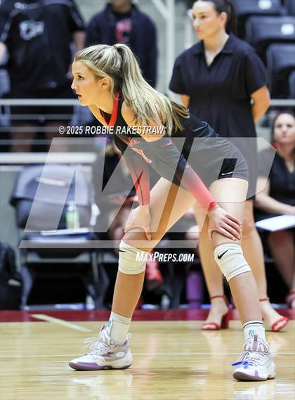 Thumbnail 3 in Cedar Park vs. Argyle (UIL 5A D2 Volleyball Final) photogallery.