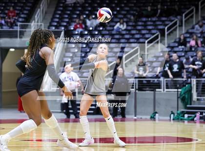 Thumbnail 2 in Cedar Park vs. Argyle (UIL 5A D2 Volleyball Final) photogallery.