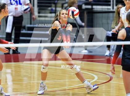 Thumbnail 3 in Cedar Park vs. Argyle (UIL 5A D2 Volleyball Final) photogallery.