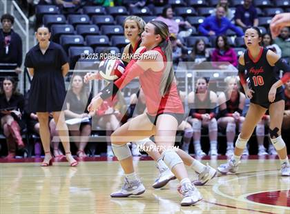 Thumbnail 2 in Cedar Park vs. Argyle (UIL 5A D2 Volleyball Final) photogallery.