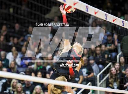 Thumbnail 3 in Cedar Park vs. Argyle (UIL 5A D2 Volleyball Final) photogallery.