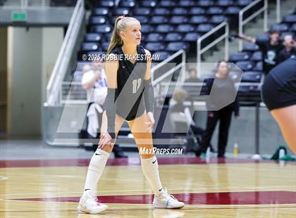 Thumbnail 3 in Cedar Park vs. Argyle (UIL 5A D2 Volleyball Final) photogallery.