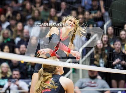 Thumbnail 2 in Cedar Park vs. Argyle (UIL 5A D2 Volleyball Final) photogallery.