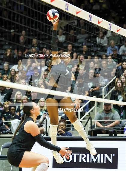 Thumbnail 2 in Cedar Park vs. Argyle (UIL 5A D2 Volleyball Final) photogallery.
