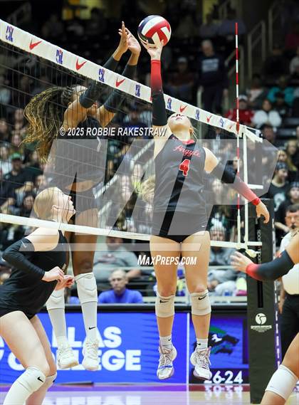 Thumbnail 1 in Cedar Park vs. Argyle (UIL 5A D2 Volleyball Final) photogallery.