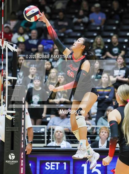 Thumbnail 1 in Cedar Park vs. Argyle (UIL 5A D2 Volleyball Final) photogallery.
