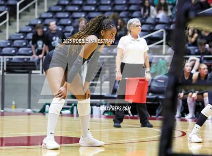 Thumbnail 2 in Cedar Park vs. Argyle (UIL 5A D2 Volleyball Final) photogallery.