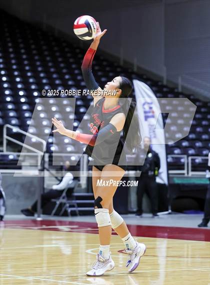 Thumbnail 1 in Cedar Park vs. Argyle (UIL 5A D2 Volleyball Final) photogallery.