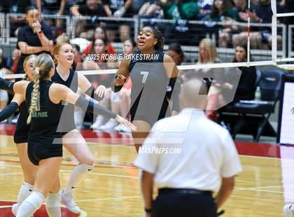 Thumbnail 3 in Cedar Park vs. Argyle (UIL 5A D2 Volleyball Final) photogallery.