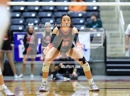 Thumbnail 1 in Cedar Park vs. Argyle (UIL 5A D2 Volleyball Final) photogallery.