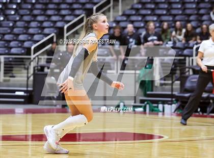 Thumbnail 2 in Cedar Park vs. Argyle (UIL 5A D2 Volleyball Final) photogallery.