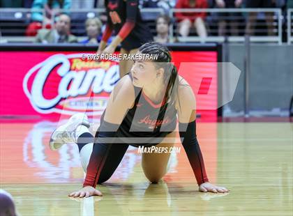 Thumbnail 2 in Cedar Park vs. Argyle (UIL 5A D2 Volleyball Final) photogallery.