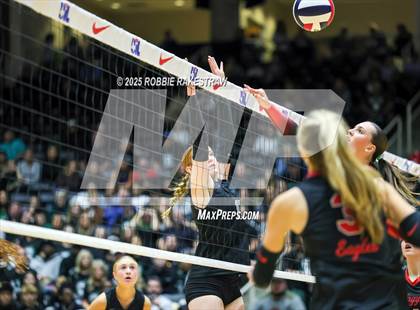 Thumbnail 3 in Cedar Park vs. Argyle (UIL 5A D2 Volleyball Final) photogallery.
