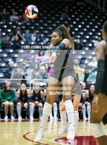 Thumbnail 3 in Cedar Park vs. Argyle (UIL 5A D2 Volleyball Final) photogallery.