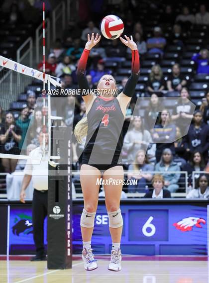 Thumbnail 3 in Cedar Park vs. Argyle (UIL 5A D2 Volleyball Final) photogallery.